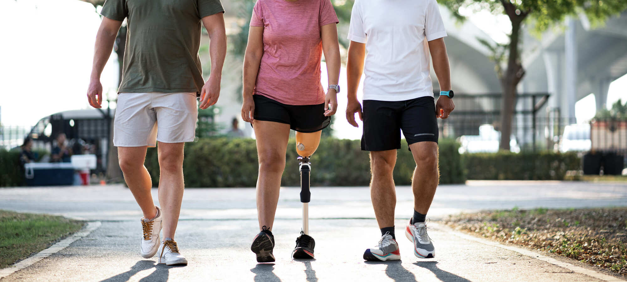 field('homepage_footer_img', 'title')